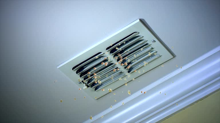 Best Home Air Vent Cleaning  in Gothenburg, NE